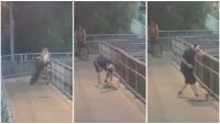 Отровна змия вдигна в паника сред пътниците на жп гара в Сидни