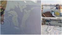 Баржа потъна частично край Гюргево и замърси района на Дунав с нефт (ВИДЕО И СНИМКИ)