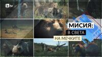 bTV Репортерите: Мисия - В света на мечките