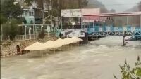 Паднали дървета и съборени бетонни огради: Мощни бури в Турция (ВИДЕО)
