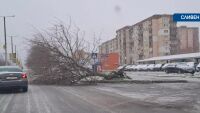 Зимата се завърна: Снегонавявания по пътищата, в Смолян - частично бедствено положение 