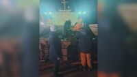 БАБХ: Четвърти кораб със слънчоглед от Аржентина с пестициди над нормата