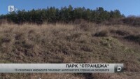 Теренът под „Златна перла