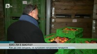 В 5 града ще бъдат открити пазари за биопродукти
