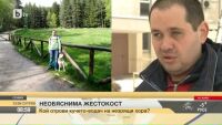 Кой отрови кучето-водач на незрящи хора?