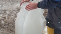 Замръзнал водопровод за 2 млн. лв. наложи режим на водата в с. Рибново