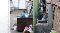2-годишно дете от село Върбен се удави в септична яма