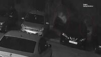 Кражба като на филм: Маскирани успяха да откраднат кола за 60 секунди в столичен квартал