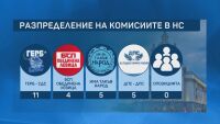 Поредната ябълка на раздора в НС се оказаха парламентарните комисии