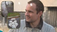 Добрият пример: Мъж събра хиляди фасове и почисти района около блока си