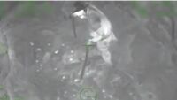 След 30 часа във водата спасиха сърфист, заседнал в риф