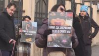 Градският съд на София гледа делото срещу Габриела Сашова и Красимир Георгиев за мъчение на животни