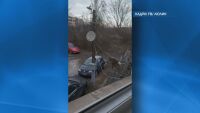 Каква е съдбата на маймунката с памперс, която обикаляше кв. „Люлин“?