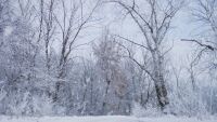 Облачно и дъждовно днес, на места почти цял ден ще вали сняг