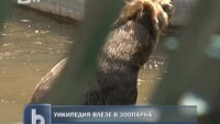 Уикипедия превзе зоопарка