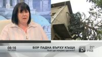 Кой ще покрие щетите от градушката?
