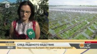200 души остават без работа след опустошителната градушка в община Левски