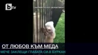 Мечо Пух от Калифорния в борба с буркан