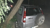 Дърво падна върху джип след вихрушка в Пловдив