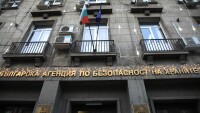 БАБХ: Има риск за пчелите заради забранени вещества в семената за посев 