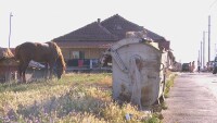 Имаше ли фиктивни секции с истински избиратели в Плевенско?