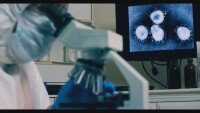 Стряскаща статистика: Около 87 000 българи са инфектирани с хепатит C