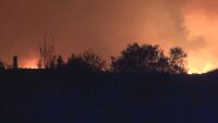 Пожарът край Бургас: Вероятно причината е незагасена цигара