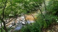 Спасителна акция: Туристи паднаха в дере край Храбрино