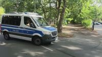 Второ денонощие в Берлин издирват лъвица, която се разхожда в града
