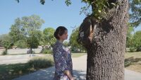 Родената като момче Петра Христова: Паркът в Горна Оряховица е пълен със стикери, провокиращи агресия