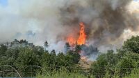 Пожарът в Костинбродско отново се разгоря, под заплаха е село Опицвет