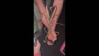 Откриха нов вид огромно пръчковидно насекомо, по-тежко от гигантската хлебарка (ВИДЕО, СНИМКИ)