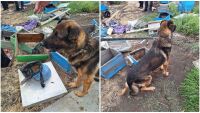 Близо килограм сух канабис е намерен в пчелин в карнобатско село