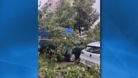 След мощната буря в София: Жител на кв. 