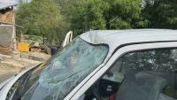 Дърво падна върху движещ се автомобил край Джебел, шофьорка оцеля по чудо