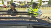Специализирана полицейска акция с участието на жандармерията в Габрово