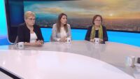Румяна Коларова: Скандалът с полетите на Пеевски е неестествен, защото е в адвокатски стил