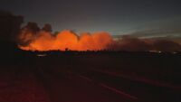 Огромен пожар във Франция опустошава известната гора Фонтенбло до Париж (ВИДЕО)