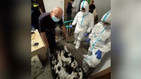 Румънските власти изведоха 115 котки от апартамент в Букурещ (СНИМКИ)