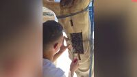 Мъж спаси 35 000 пчели, живеещи в статуя на Исус