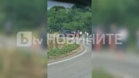 Три деца пострадаха при катастрофа край Велико Търново