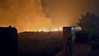 Голям пожар бушува край Асеновград, 50 пожарникари се борят с огъня (СНИМКИ)