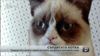 Grumpy Cat продължава звездната си кариера