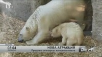 Двойка полярни мечета ще радват посетителите в зоопарка в Мюнхен