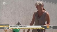 Без вина - виновна