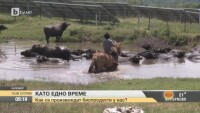 Как се произвеждат биопродукти у нас?
