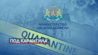 С положителна проба за COVID-19: Зам.-министърът на земеделието е в добро състояние