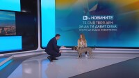 bTV Новините ти дават сила: Среща с Елена Андреева, която дресира кучета и помага на незрящи