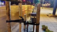 Отсякоха дървета заради билборд: Какви наказания ще получат нарушителите?