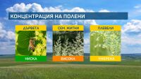 Започна цъфтежът на липите, те също мога да алергизират